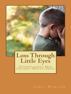 cover image of Loss Through Little Eyes